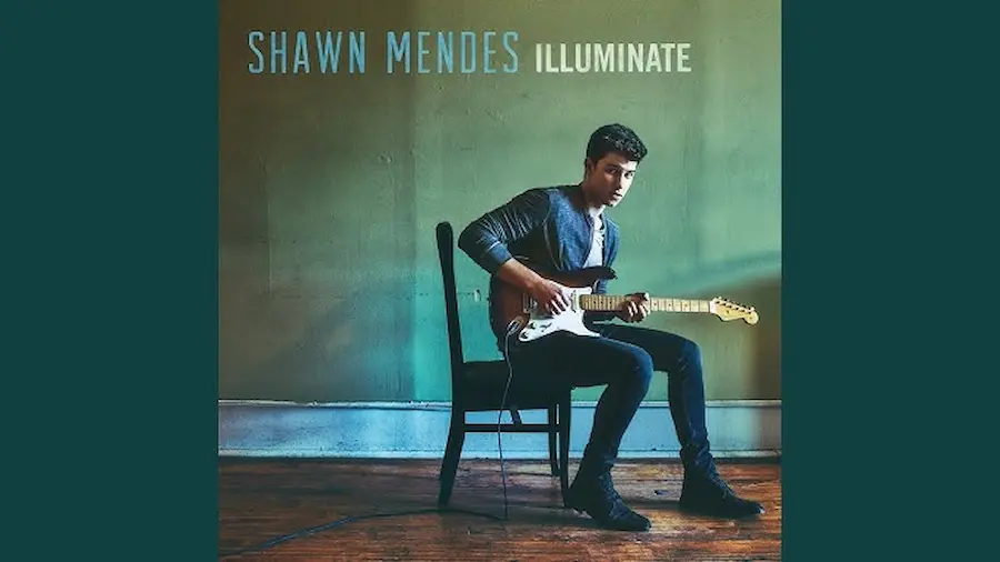 Ruin · Shawn Mendes