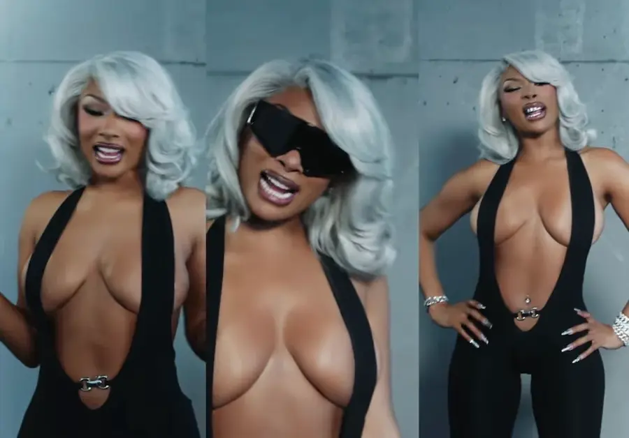 THIN ICE MEGAN THEE STALLION